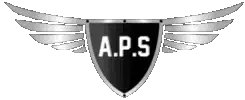 Angel Protection Sécurité — A.P.S